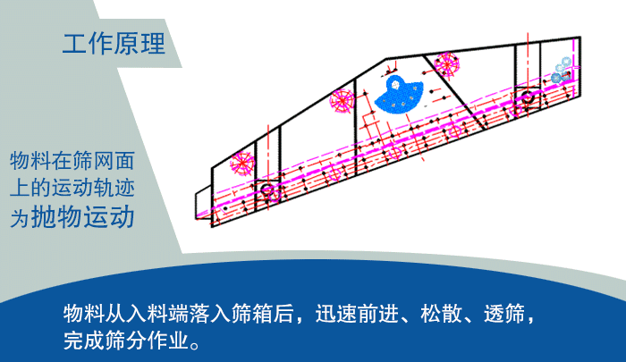 大型抖音TIKTOK色板免费网站IOS