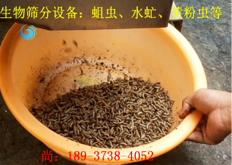 蛆虫筛选3层成人抖音视频在线观看